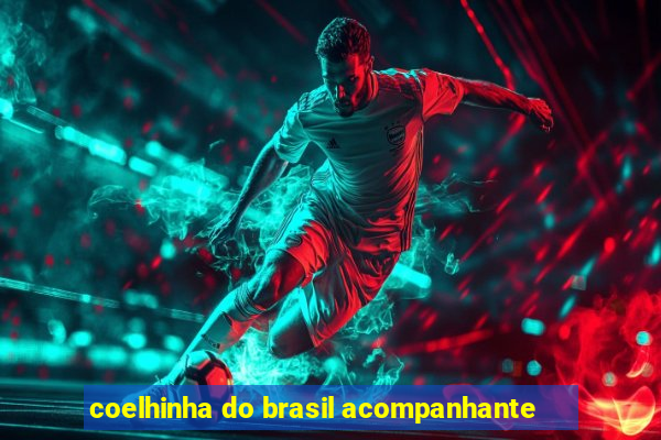 coelhinha do brasil acompanhante